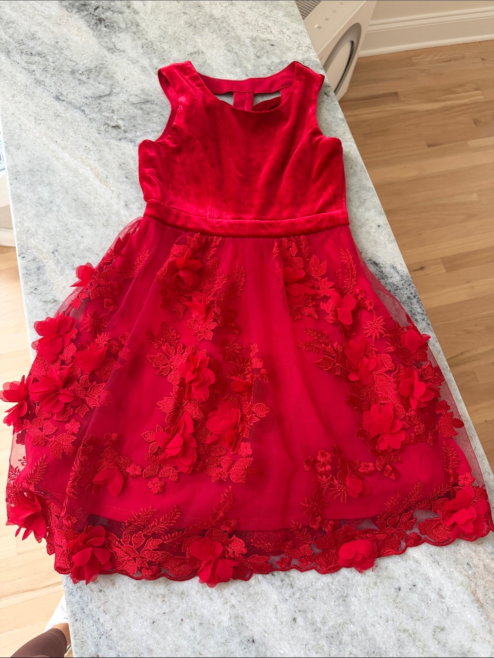 Red Floral Appliqué Velvet Bodice Girls' Party Dress